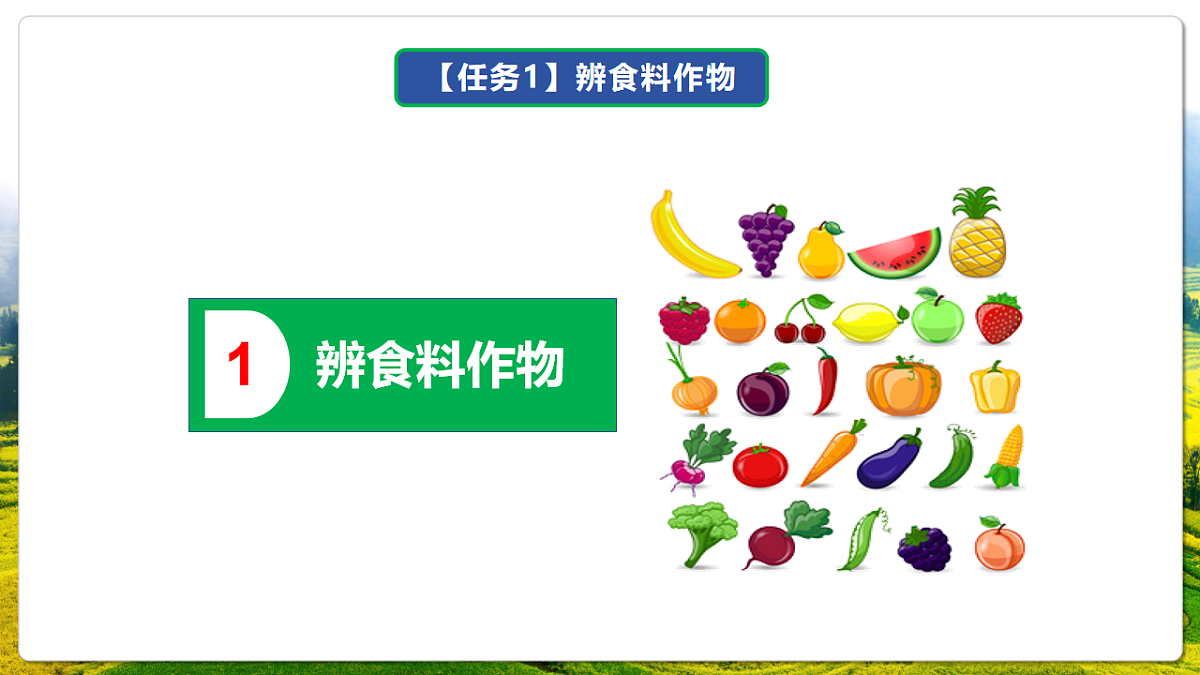 人教版(新课标)地理七上第六章 跨学科主题学习——《探索外来食料作物传播史》课件第6页