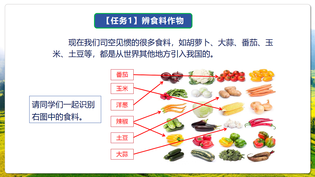 人教版(新课标)地理七上第六章 跨学科主题学习——《探索外来食料作物传播史》课件第7页