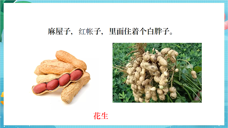 新教科版（2017）科學(xué)四上2.4《一天的食物》課件第4頁