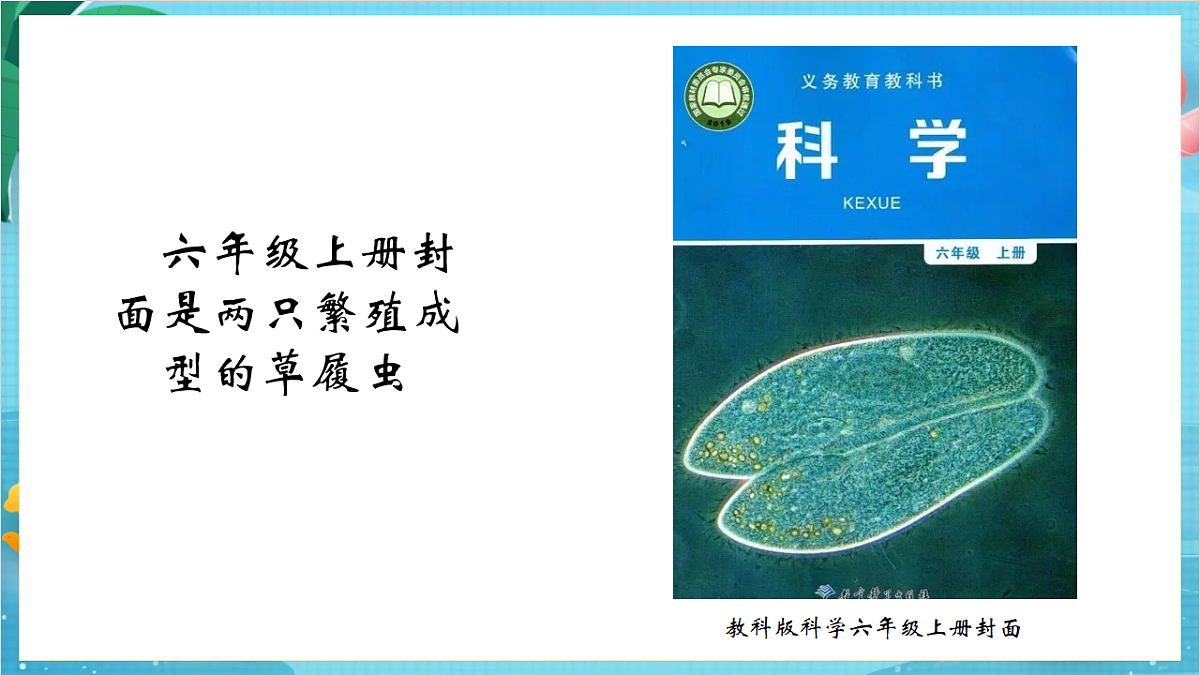 新教科版(2017)科学六上开学第一课《科学家这样做-中国天眼之父南仁东》课件第6页