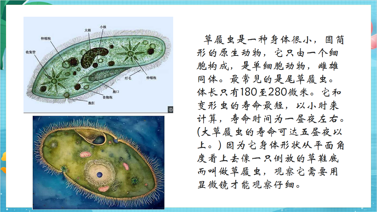新教科版(2017)科学六上开学第一课《科学家这样做-中国天眼之父南仁东》课件第7页