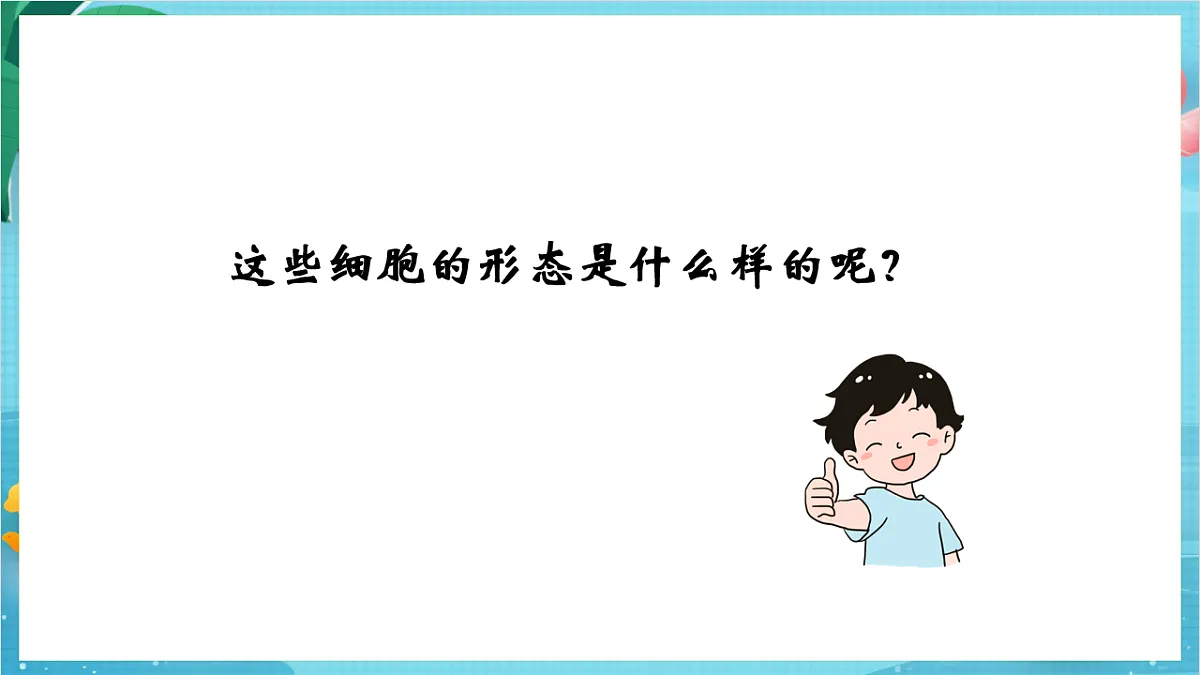 新教科版(2017)科学六上1.5《观察更多的生物细胞》课件第7页