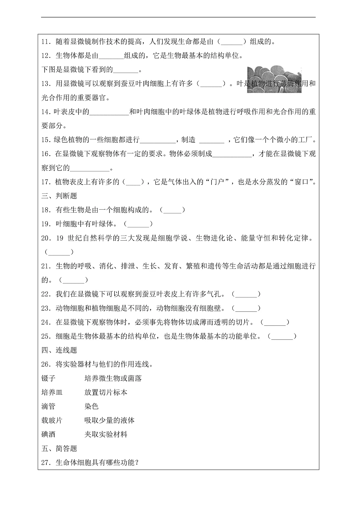 新教科版(2017)科学六上1.5《观察更多的生物细胞》课后练习第3页
