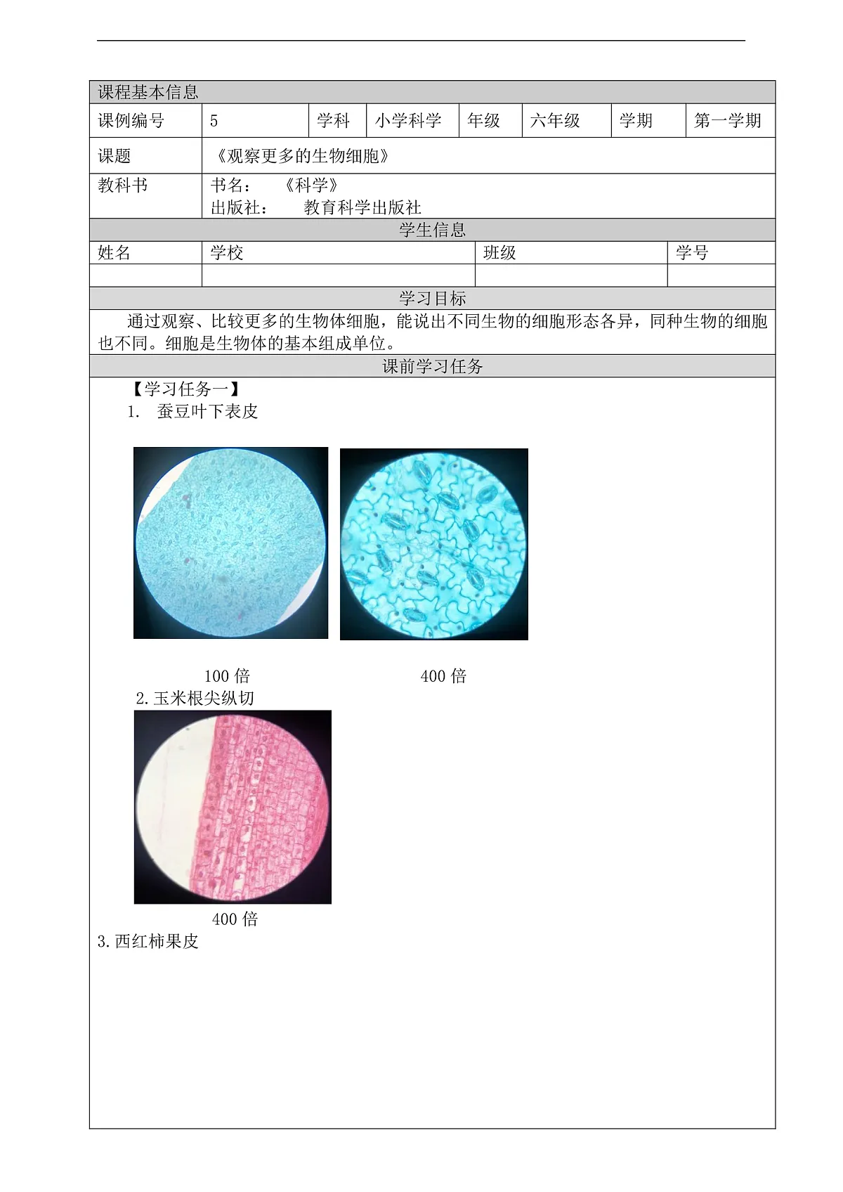 新教科版(2017)科学六上1.5《观察更多的生物细胞》学习任务单第1页