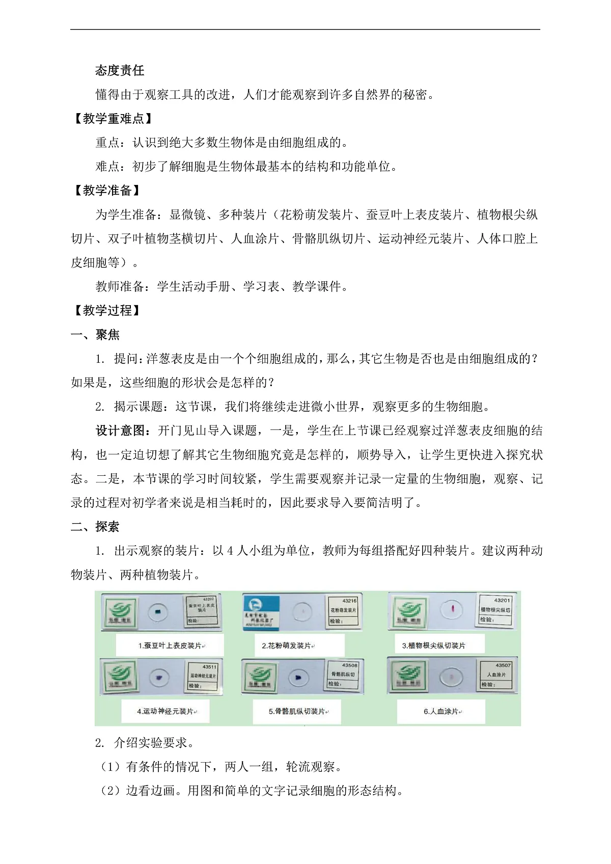 新教科版(2017)科学六上1.5《观察更多的生物细胞》教案第3页