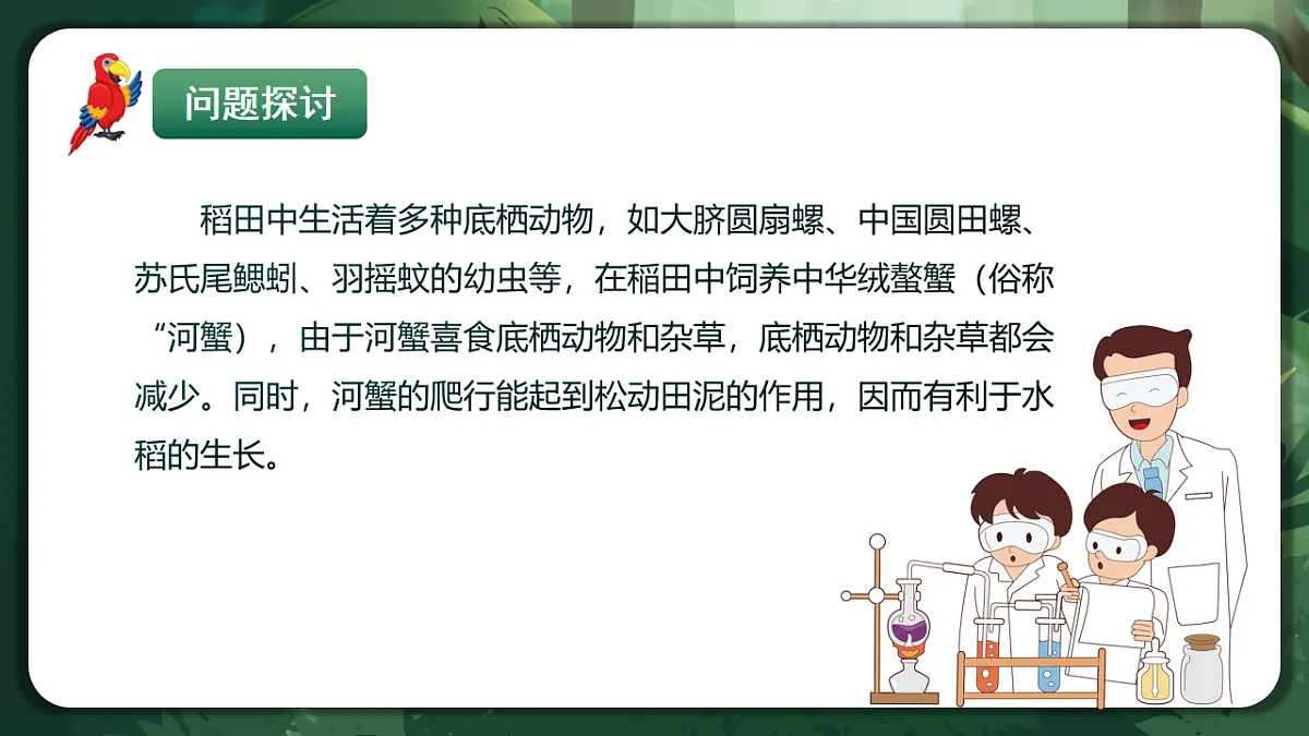 人教版(2019)高中生物选择性必修二2.1 群落的结构 课件第3页