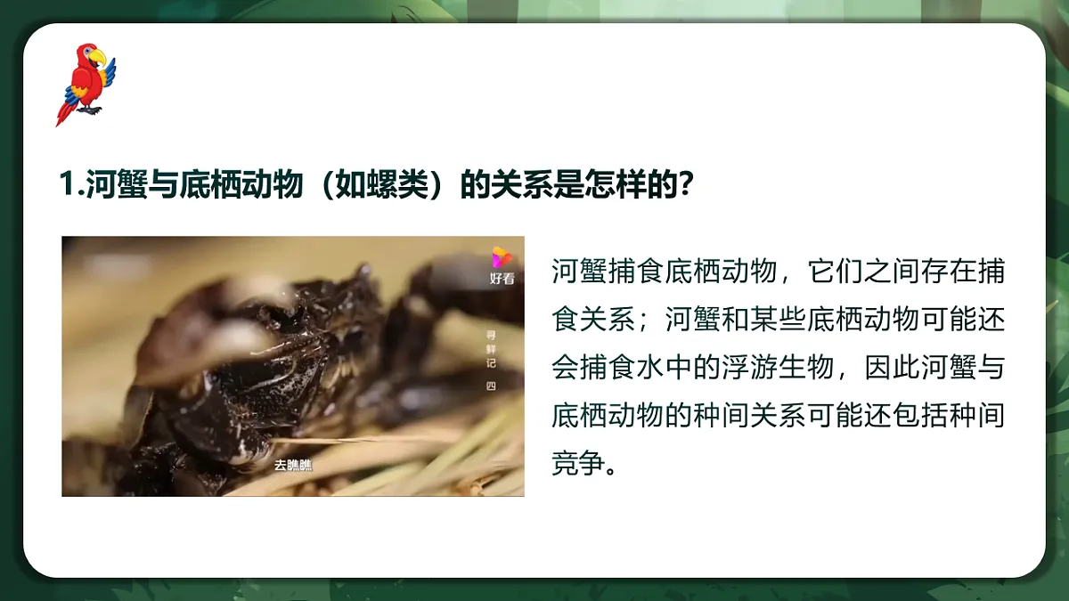人教版(2019)高中生物选择性必修二2.1 群落的结构 课件第4页