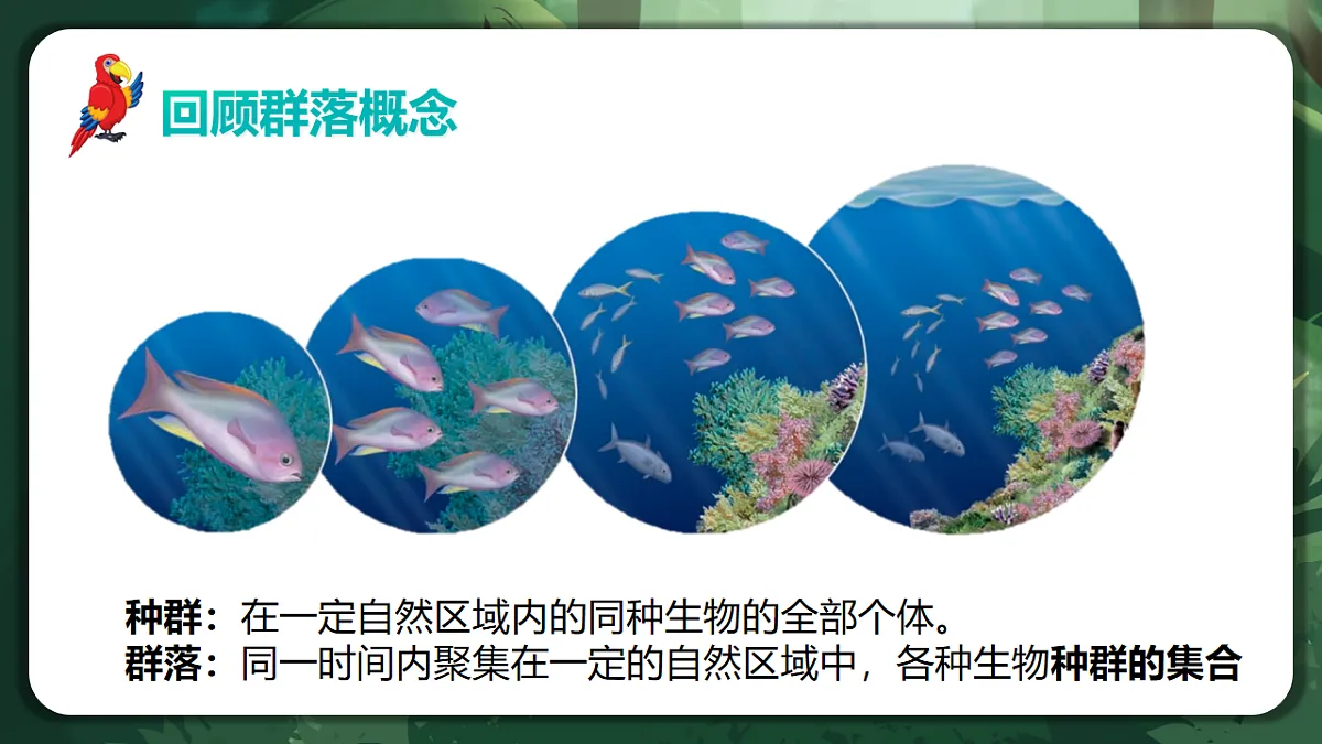 人教版(2019)高中生物选择性必修二2.1 群落的结构 课件第6页