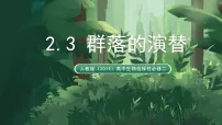 高中生物人教版 (2019)选择性必修2群落的演替示范课课件ppt
