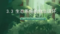 人教版 (2019)选择性必修2生态系统的物质循环教案配套ppt课件