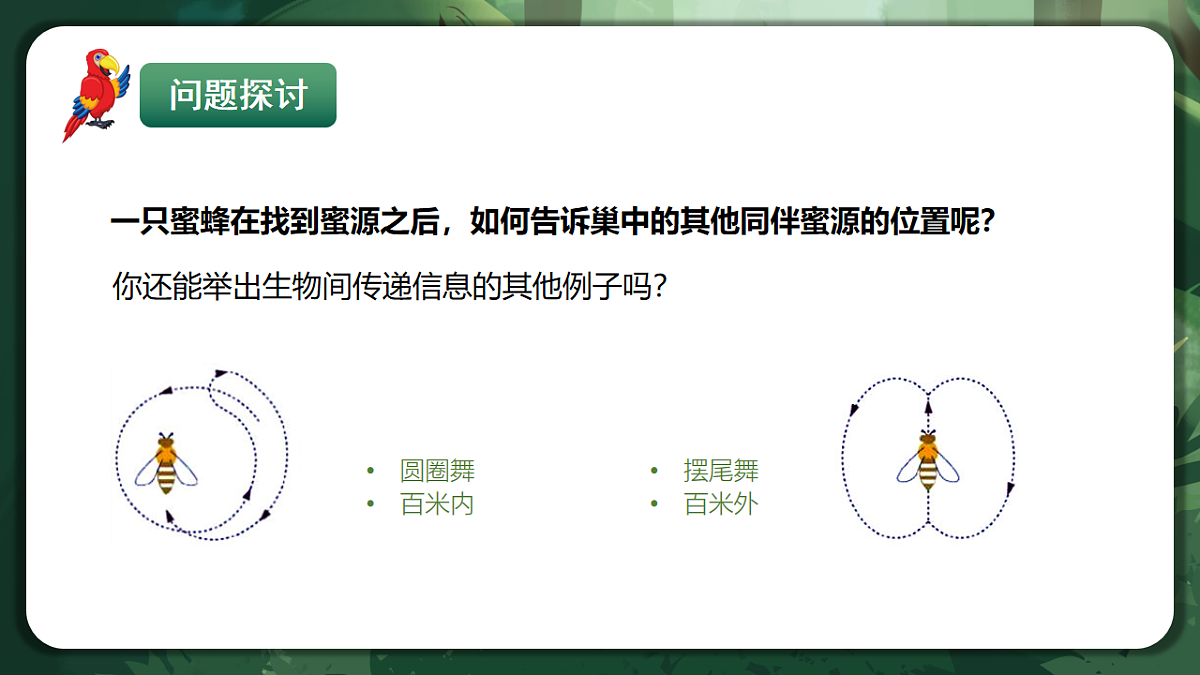 人教版(2019)高中生物选择性必修二3.4 生态系统的信息传递 课件第3页