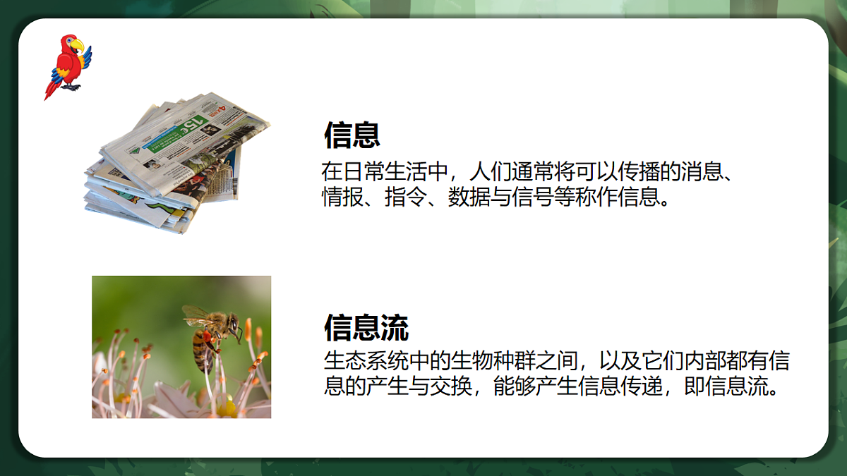 人教版(2019)高中生物选择性必修二3.4 生态系统的信息传递 课件第5页