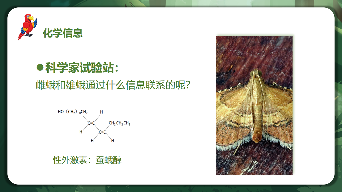 人教版(2019)高中生物选择性必修二3.4 生态系统的信息传递 课件第8页