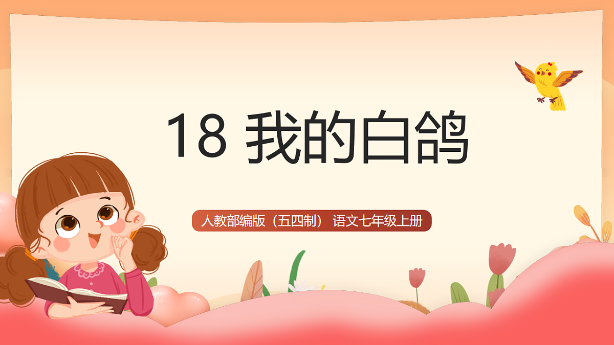 人教部编版(五四制)语文七年级上册(2024)第18课 《我的白鸽》课件第1页