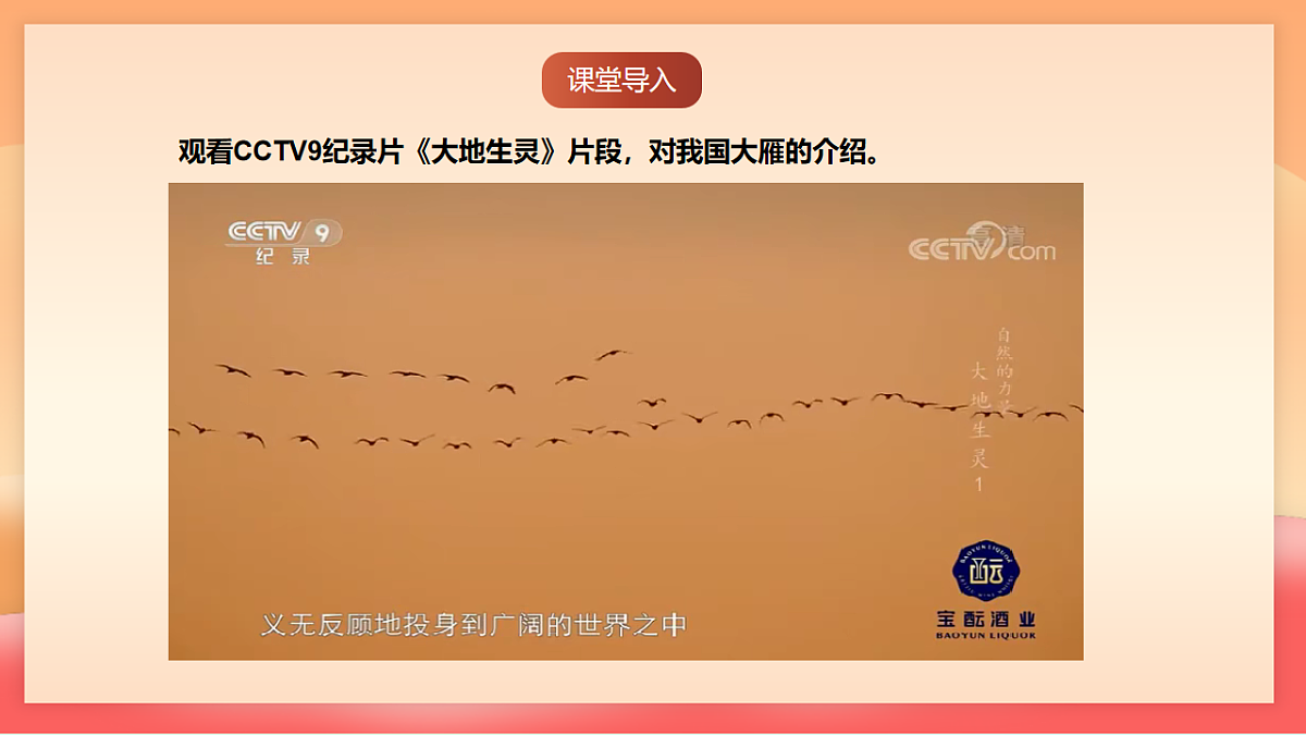 人教部编版(五四制)语文七年级上册(2024)第19课 《大雁归来》课件第2页