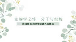 人教版 2019 高中生物必修1 第四章4.1《被動運輸》課時1（PPT+教案）