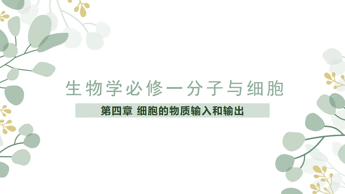 4.1《 被动运输》课时1第1页