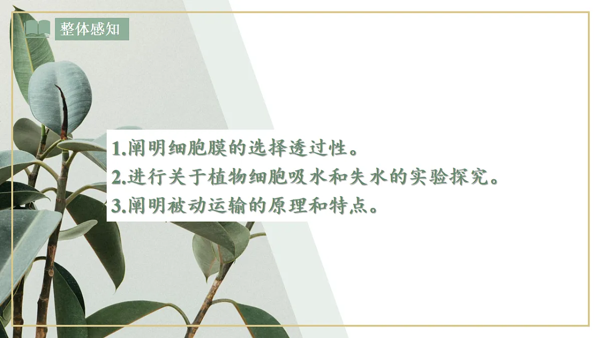 4.1《 被动运输》课时1第2页