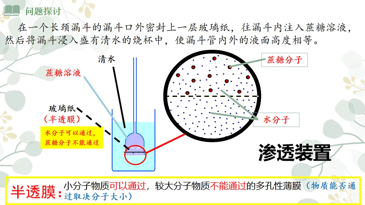4.1《 被动运输》课时1第3页