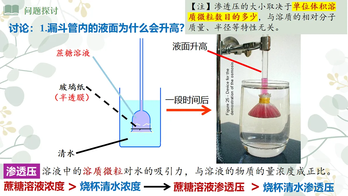4.1《 被动运输》课时1第5页