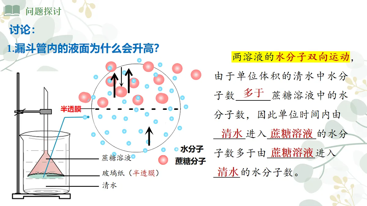 4.1《 被动运输》课时1第6页