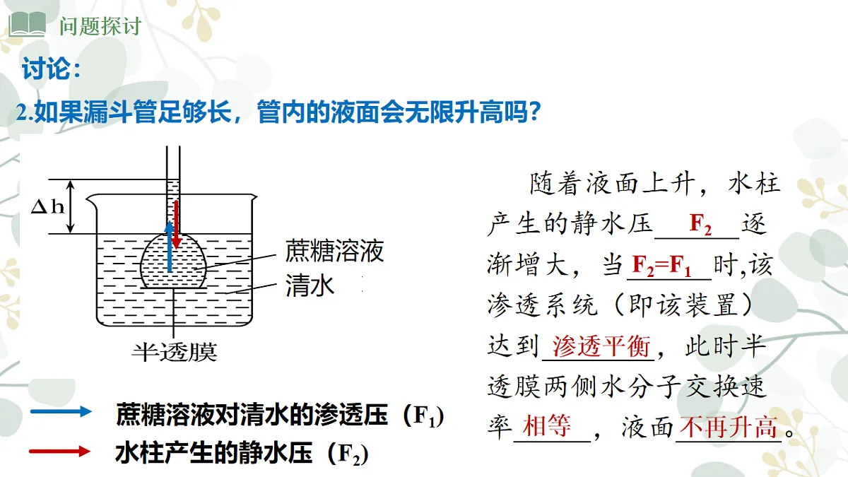 4.1《 被动运输》课时1第7页