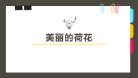 学前教育大班《美丽的荷花》课件