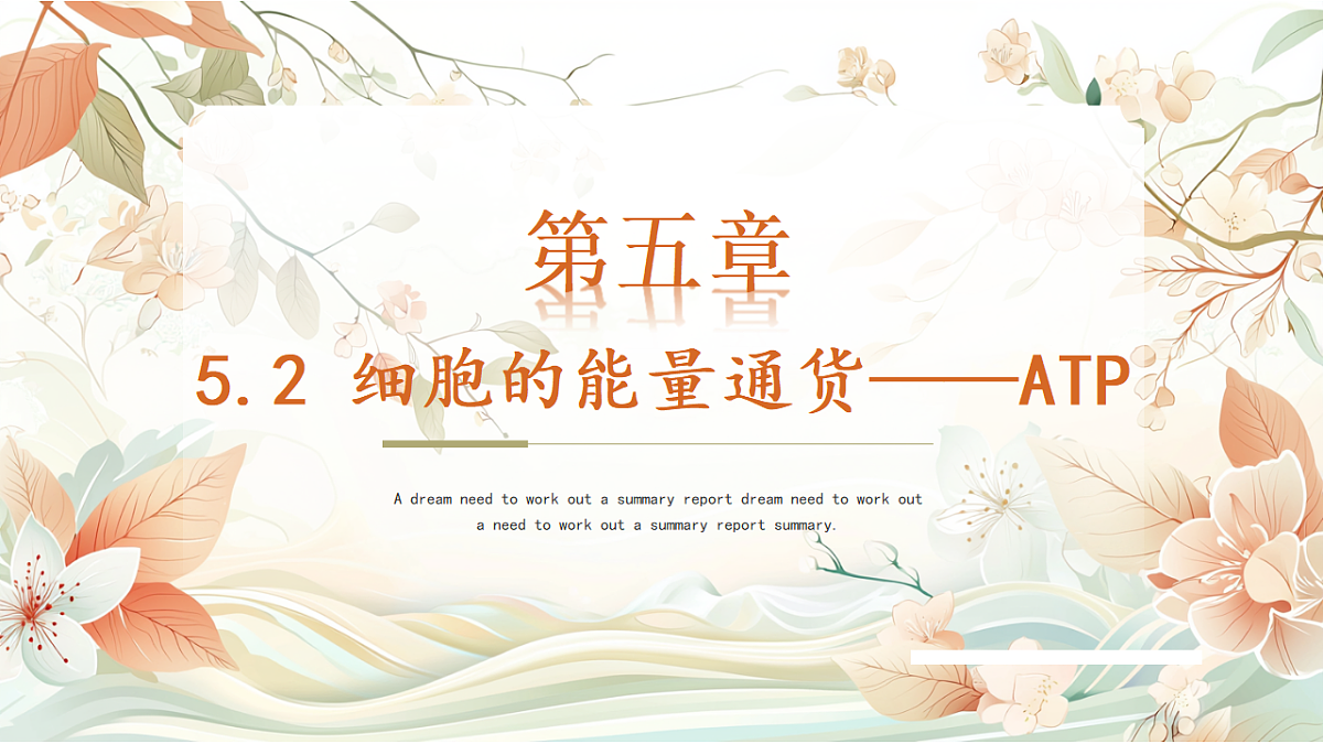 5.2《细胞的能量货币ATP》第7页