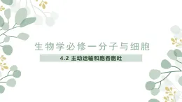 人教版 2019 高中生物必修1 第四章4.2《主動運輸和胞吞和胞吐》 （PPT+教案）