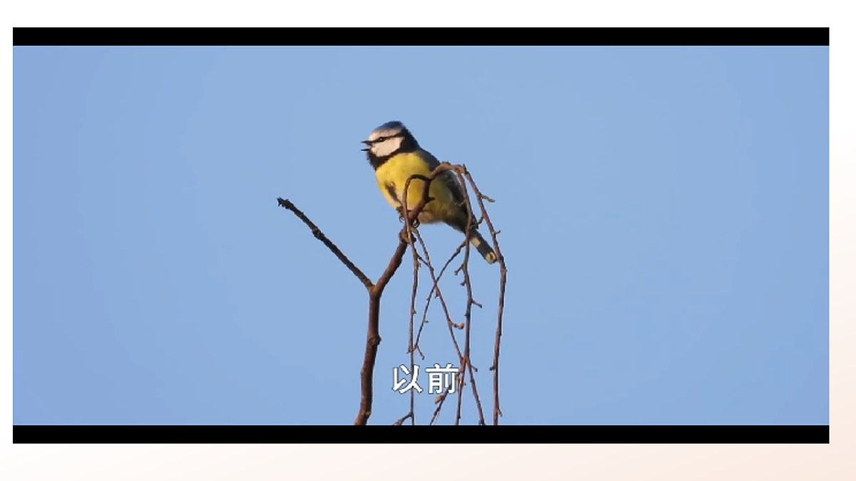 5.1《降低化学反应活化能的酶》课时1第4页