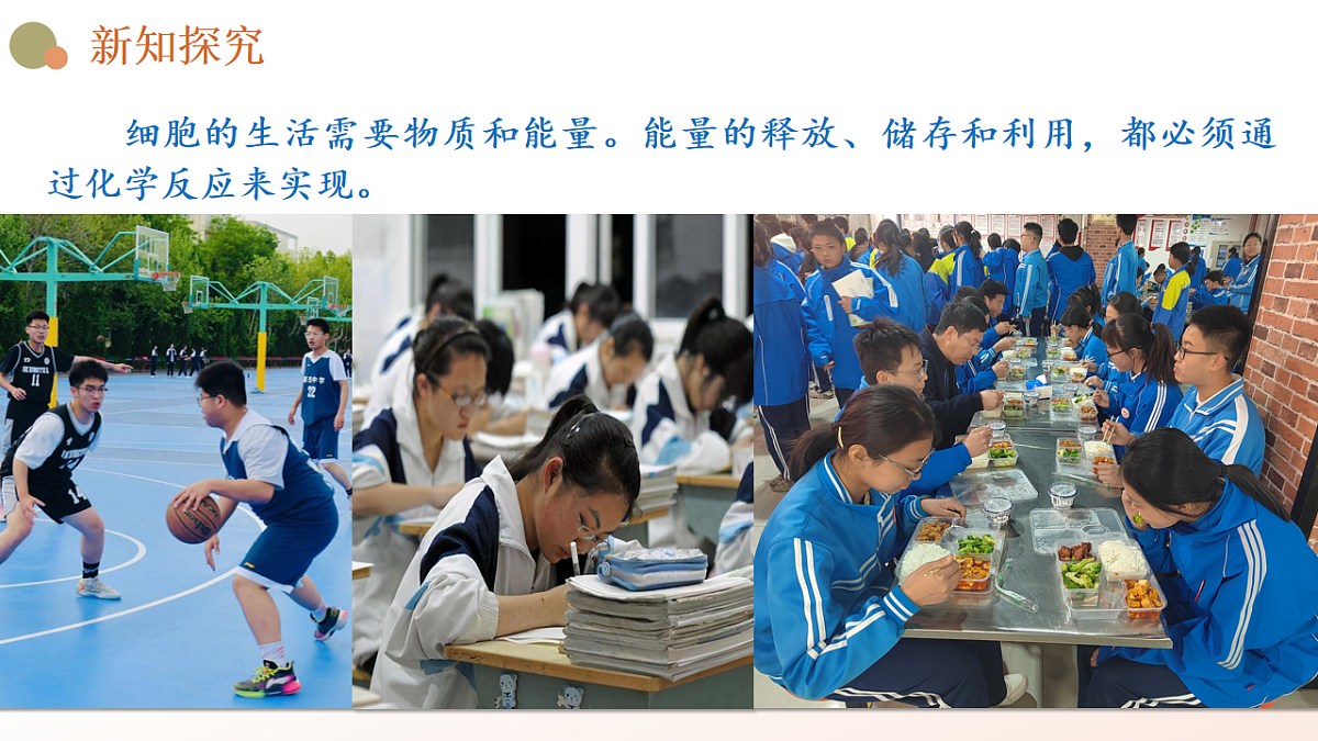 5.1《降低化学反应活化能的酶》课时1第8页