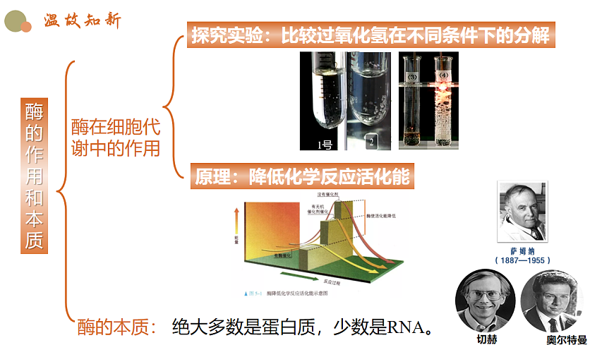 5.1《降低化学反应活化能的酶》课时2第4页