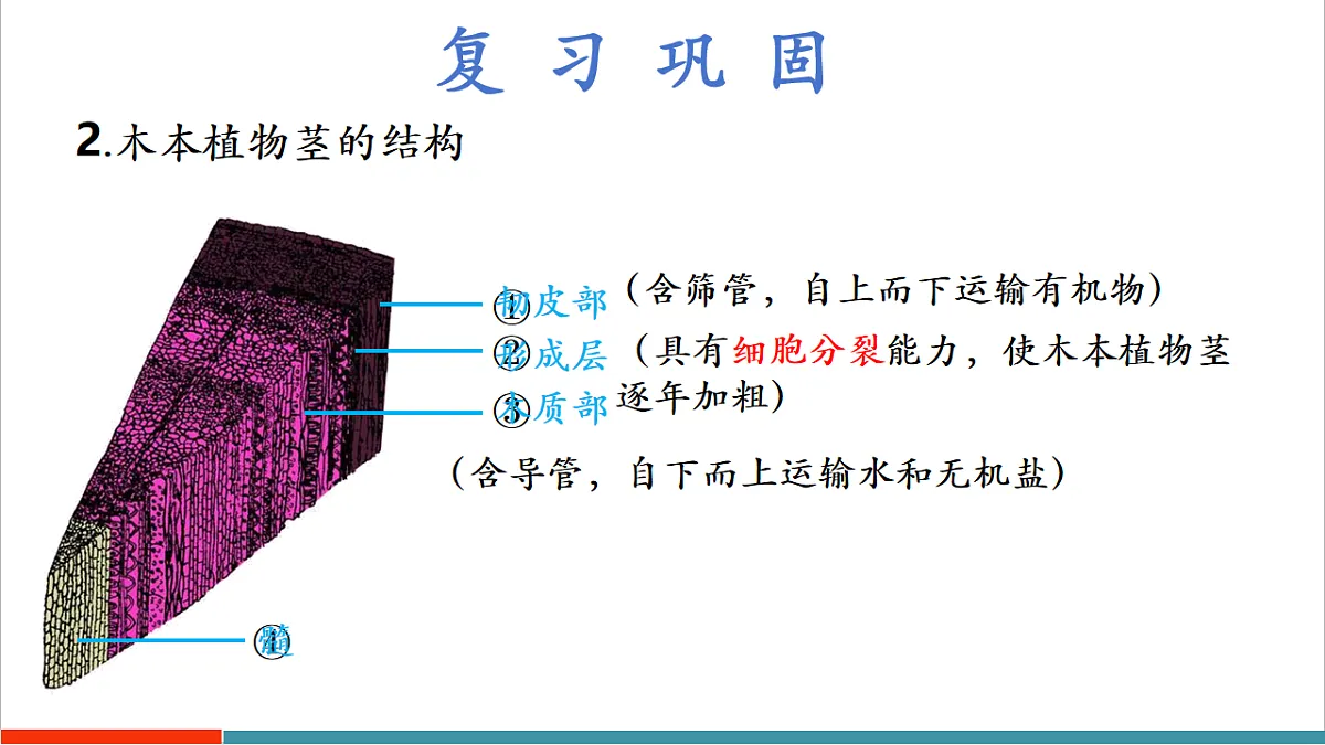 4.10.2 生物圈中的水循环(教学课件)第5页