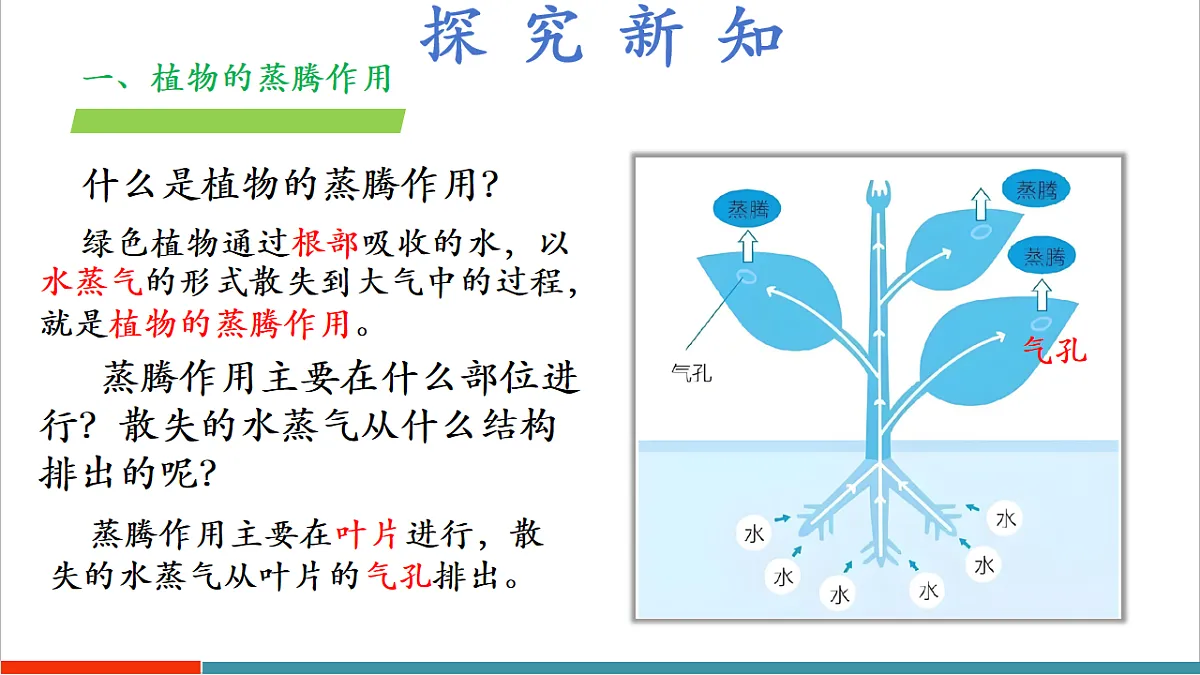 4.10.2 生物圈中的水循环(教学课件)第7页