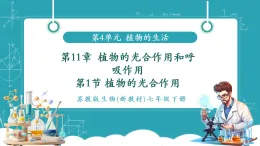 【新課標(biāo)新教材】蘇教版生物七年級下冊4.11.1 植物的光合作用（教學(xué)課件+教學(xué)設(shè)計(jì)+分層練習(xí)含答案）