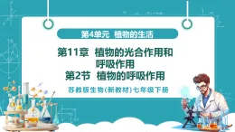 【新課標(biāo)新教材】蘇教版生物七年級下冊4.11.2 植物的呼吸作用（教學(xué)課件+教學(xué)設(shè)計(jì)+分層練習(xí)含答案）
