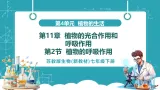 【新课标新教材】苏教版生物七年级下册4.11.2 植物的呼吸作用（教学课件+教学设计+分层练习含答案）