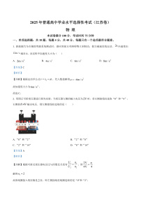 2025年江苏省高考真题——物理（解析版）