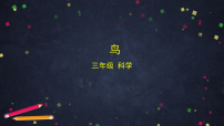 湘科版（2024）三年级上册鸟教课ppt课件
