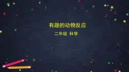 (湘科版)二年級科學(xué)上冊2.3 有趣的動物反應(yīng)-課件