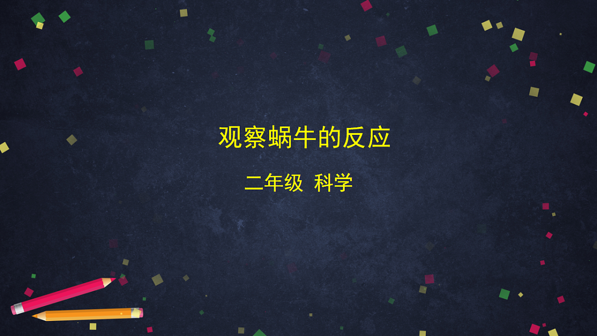 (湘科版)二年级科学上册2.2 观察蜗牛的反应-课件第1页