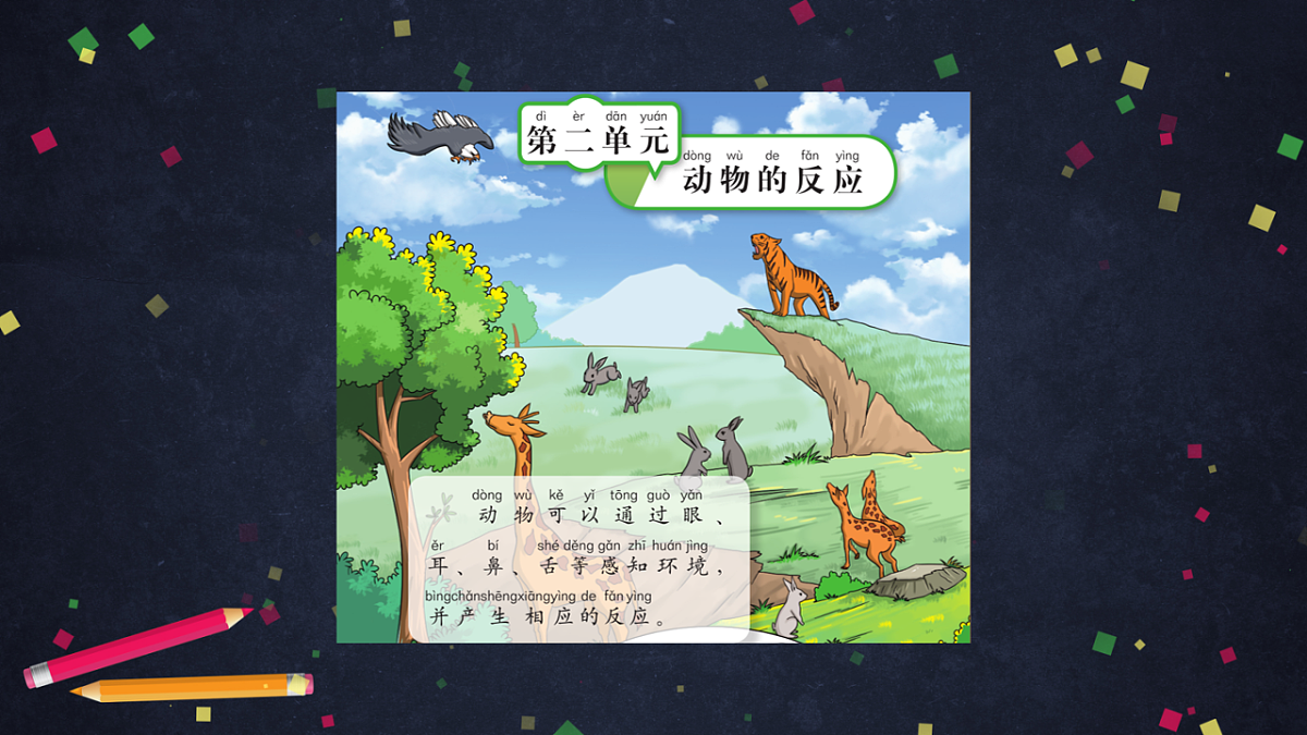 (湘科版)二年级科学上册2.2 观察蜗牛的反应-课件第2页