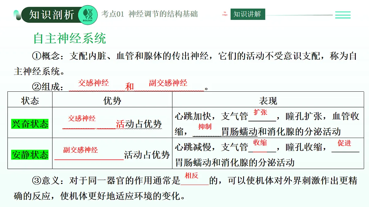 第2章 神经调节(复习课件)-2025-2026学年高中生物选择性必修1(人教版2019)第6页