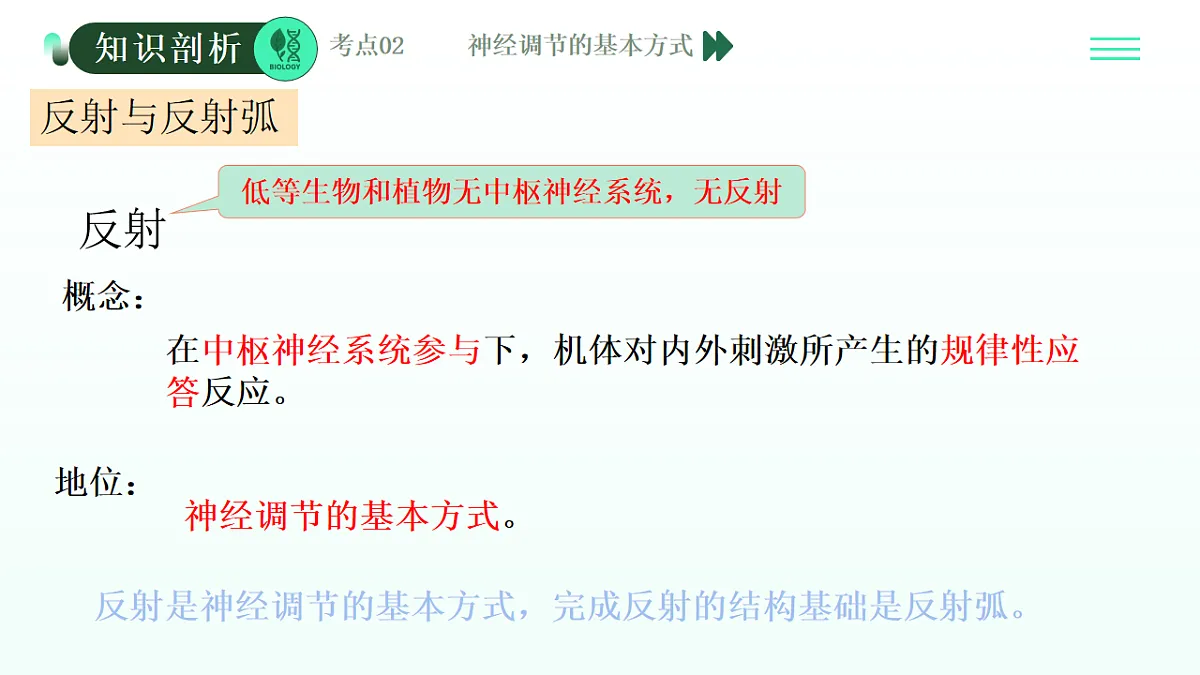 第2章 神经调节(复习课件)-2025-2026学年高中生物选择性必修1(人教版2019)第8页