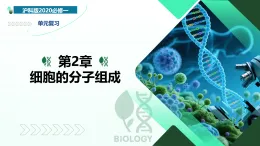 第2章 細(xì)胞的分子組成（復(fù)習(xí)課件）-2025-2026學(xué)年高中生物必修1（滬科技版2020）