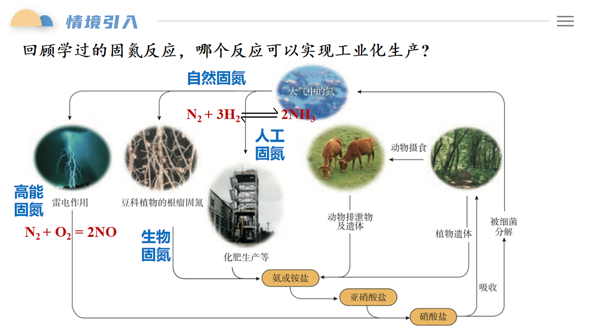 17243328第3页