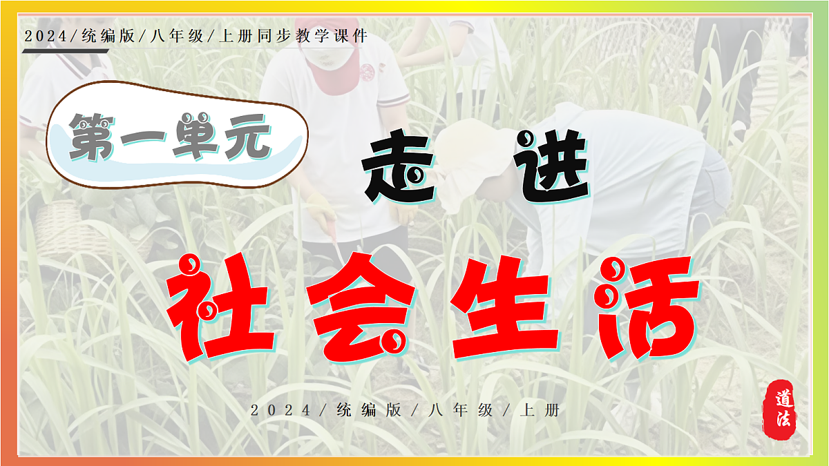 17243794第1页