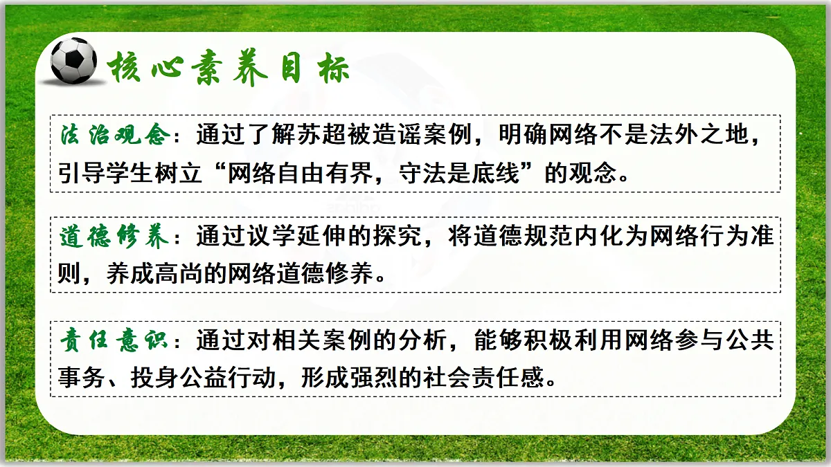 17243796第5页