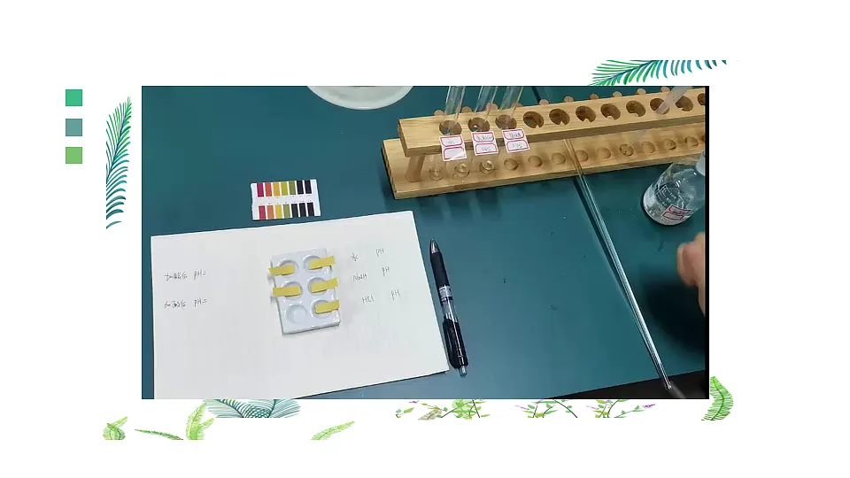 17244305第7页
