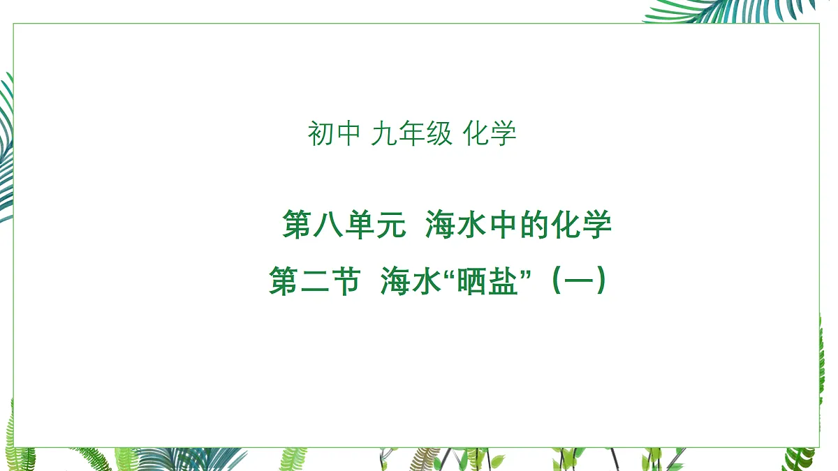 17244309第1页